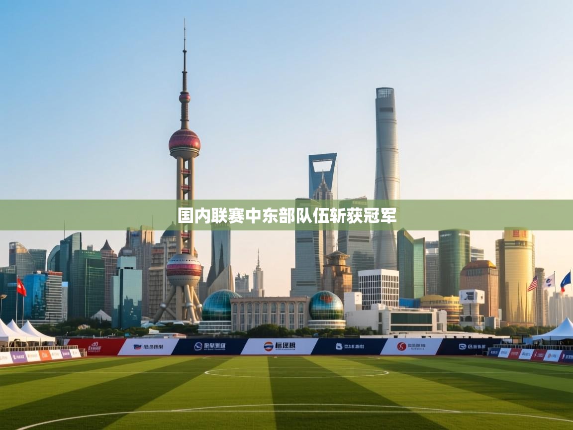 开云体育在线观看-国内联赛中东部队伍斩获冠军 第1张