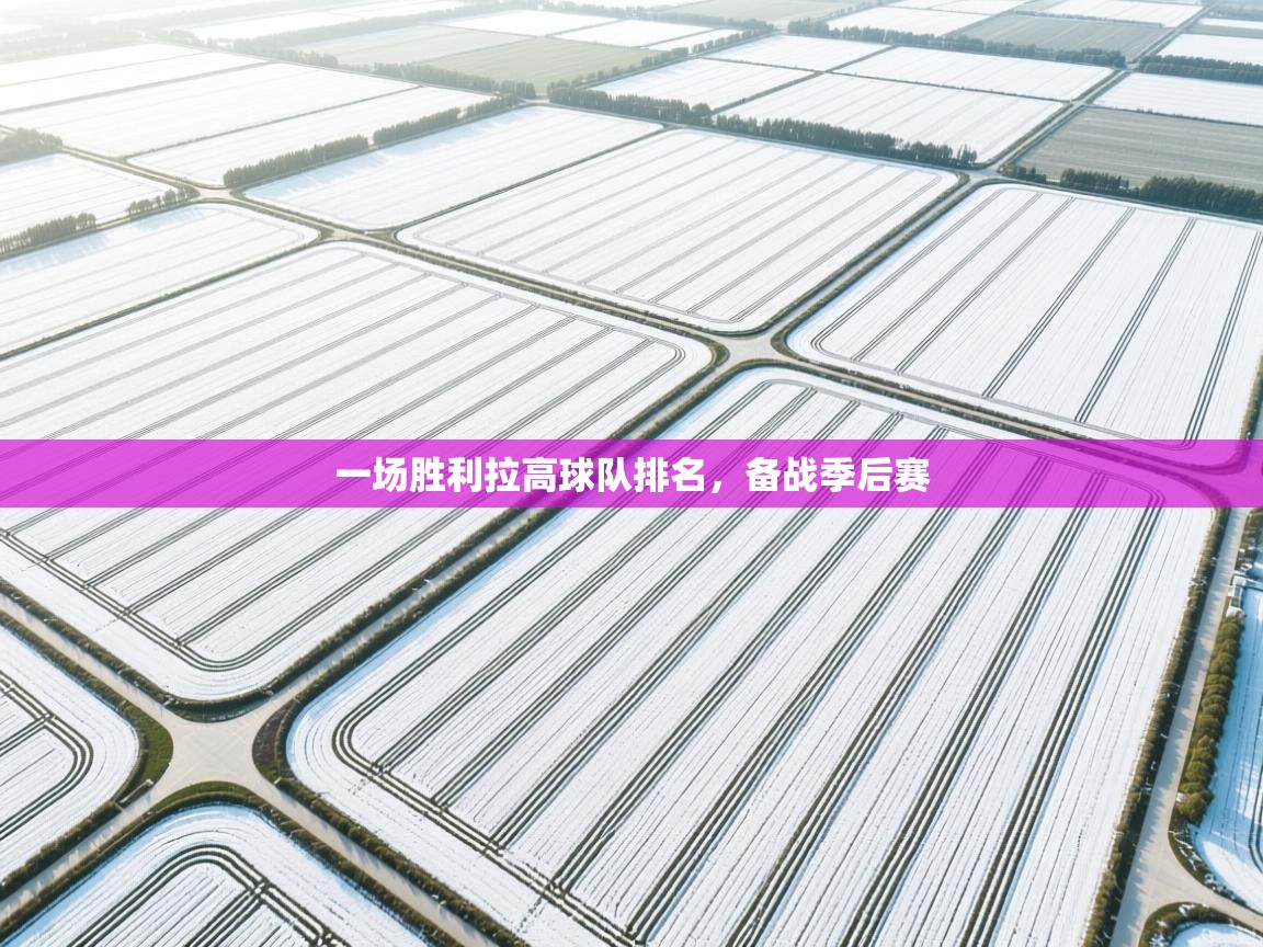开云直播-一场胜利拉高球队排名，备战季后赛  第2张