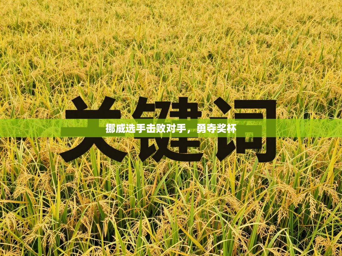 开云网页版-挪威选手击败对手，勇夺奖杯  第2张