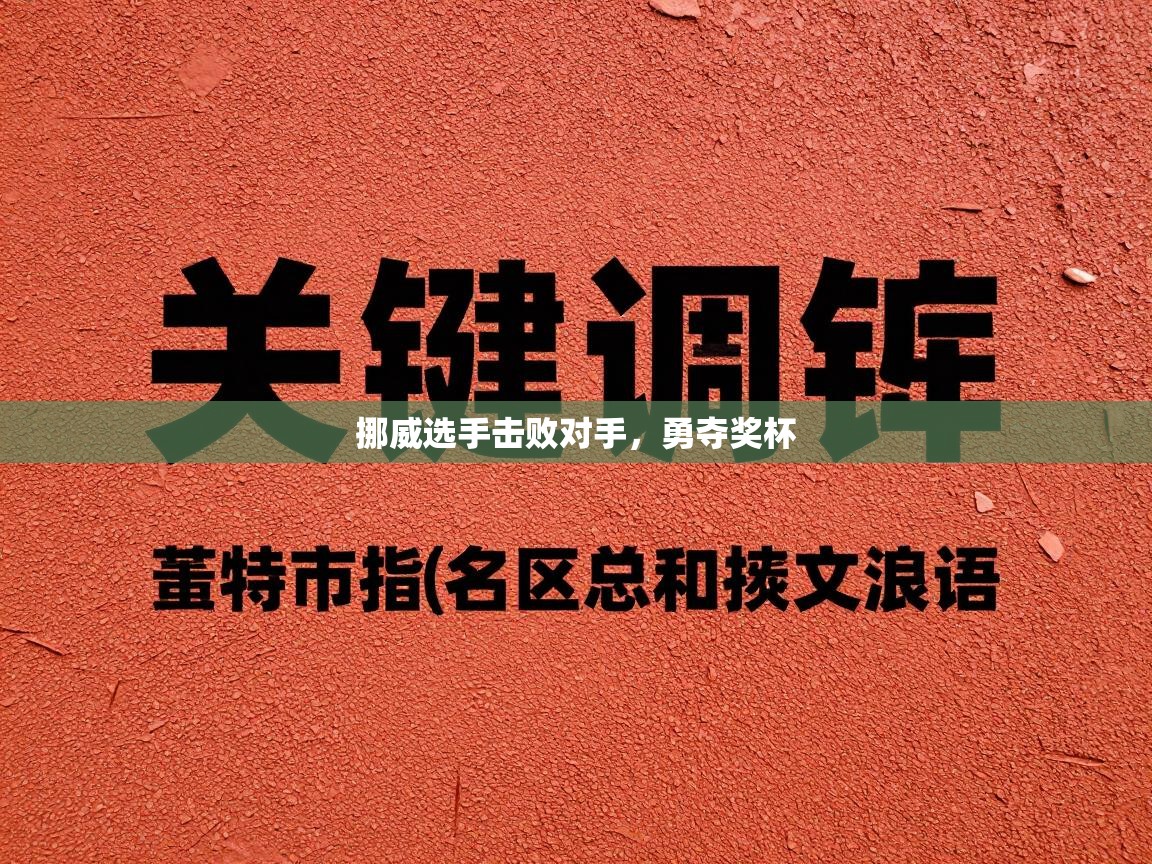 开云网页版-挪威选手击败对手，勇夺奖杯  第3张