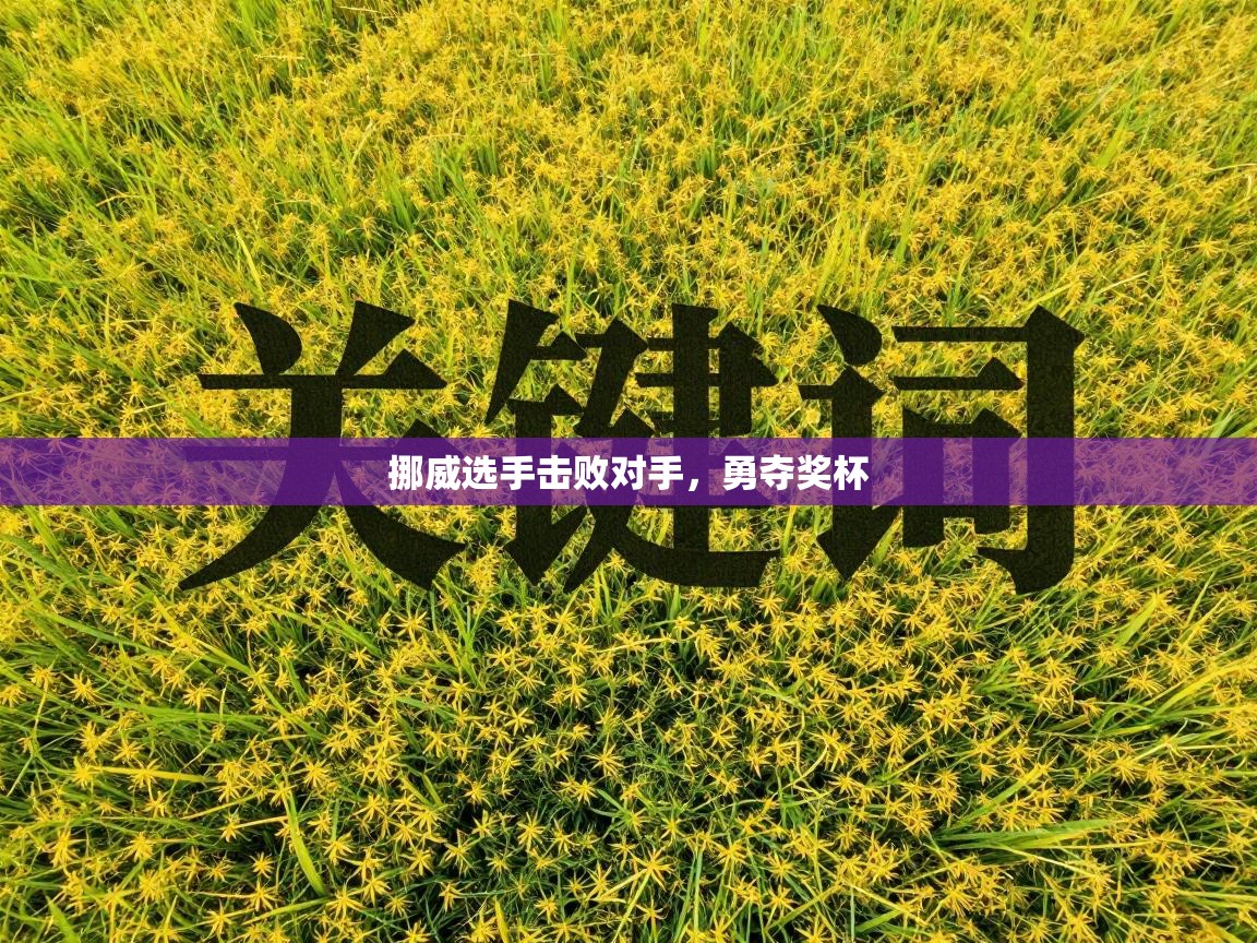 开云网页版-挪威选手击败对手，勇夺奖杯  第4张