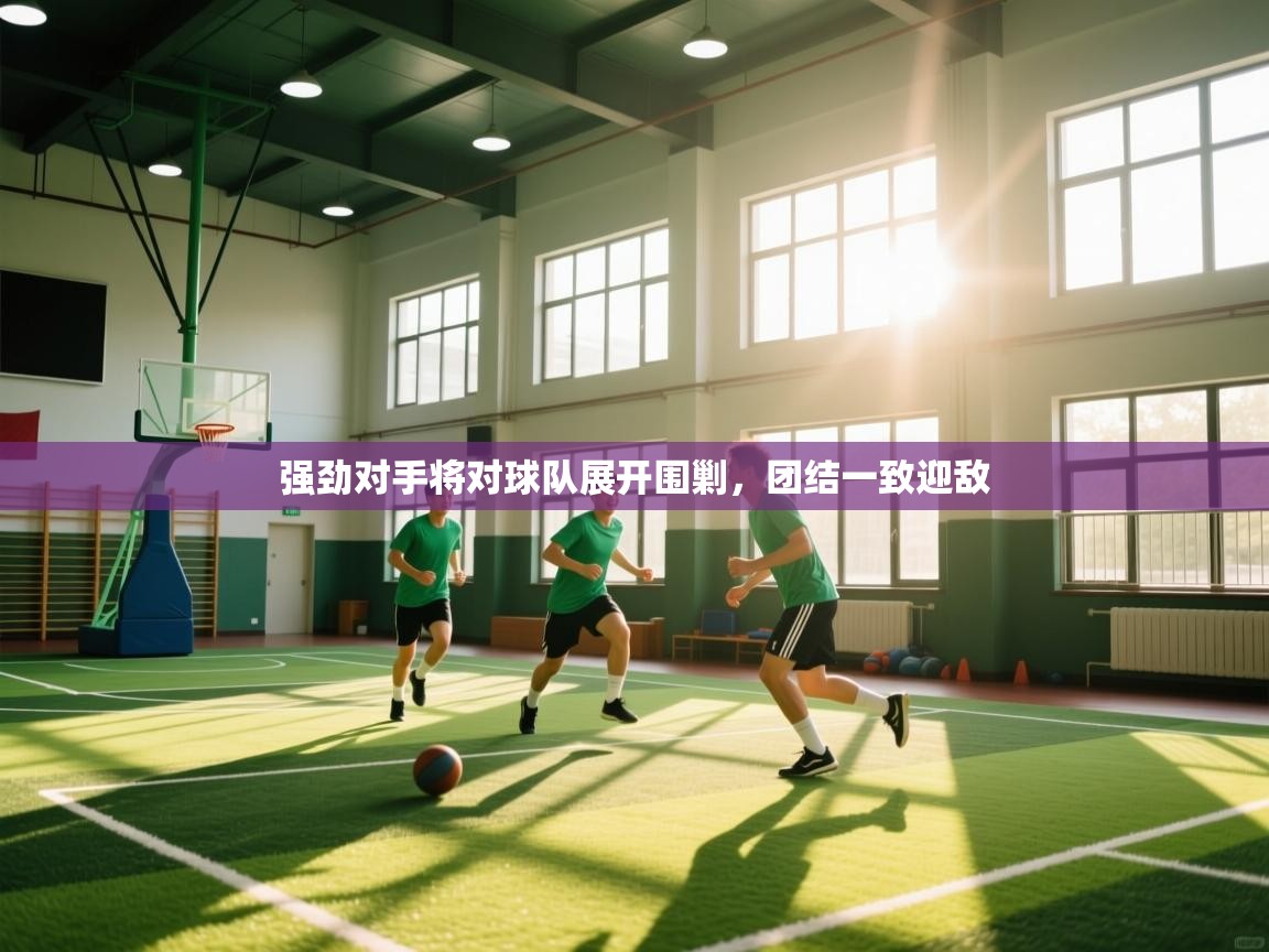 云开体育app官网入口网页版-强劲对手将对球队展开围剿,团结一致迎敌 第3张